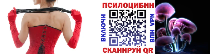 KRAKEN ТОР  Сорск  Галлюциногенные грибы Psilocybine cubensis 