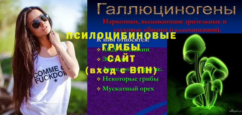 Галлюциногенные грибы Psilocybe  мега зеркало  Сорск 